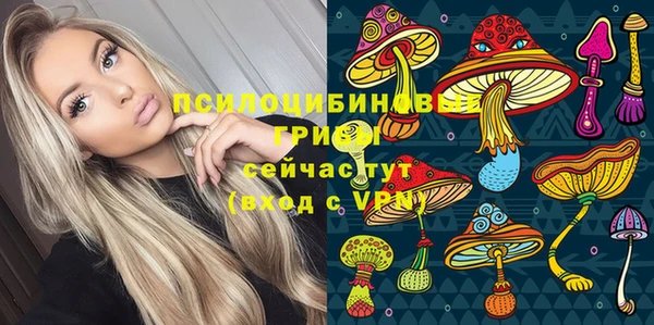 индика Михайлов