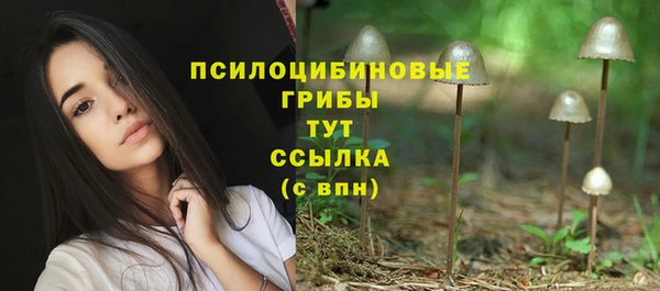 индика Михайлов