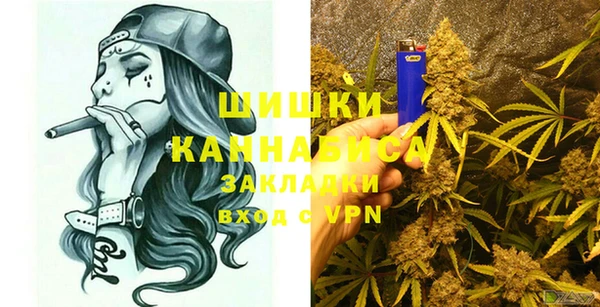 хмурый Михайловск