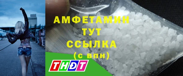 индика Михайлов