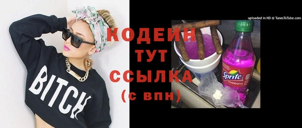 хмурый Михайловск