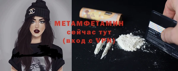 индика Михайлов