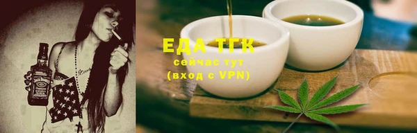 индика Михайлов