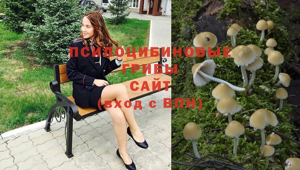 индика Михайлов
