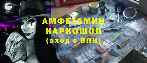 индика Михайлов