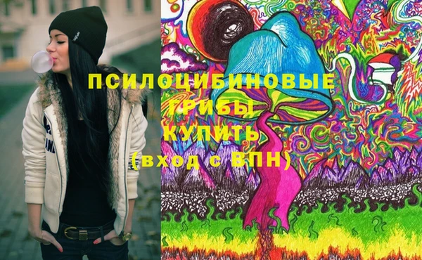 индика Михайлов