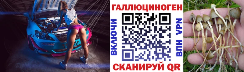 нарко площадка телеграм  Пушкино  Галлюциногенные грибы Magic Shrooms 