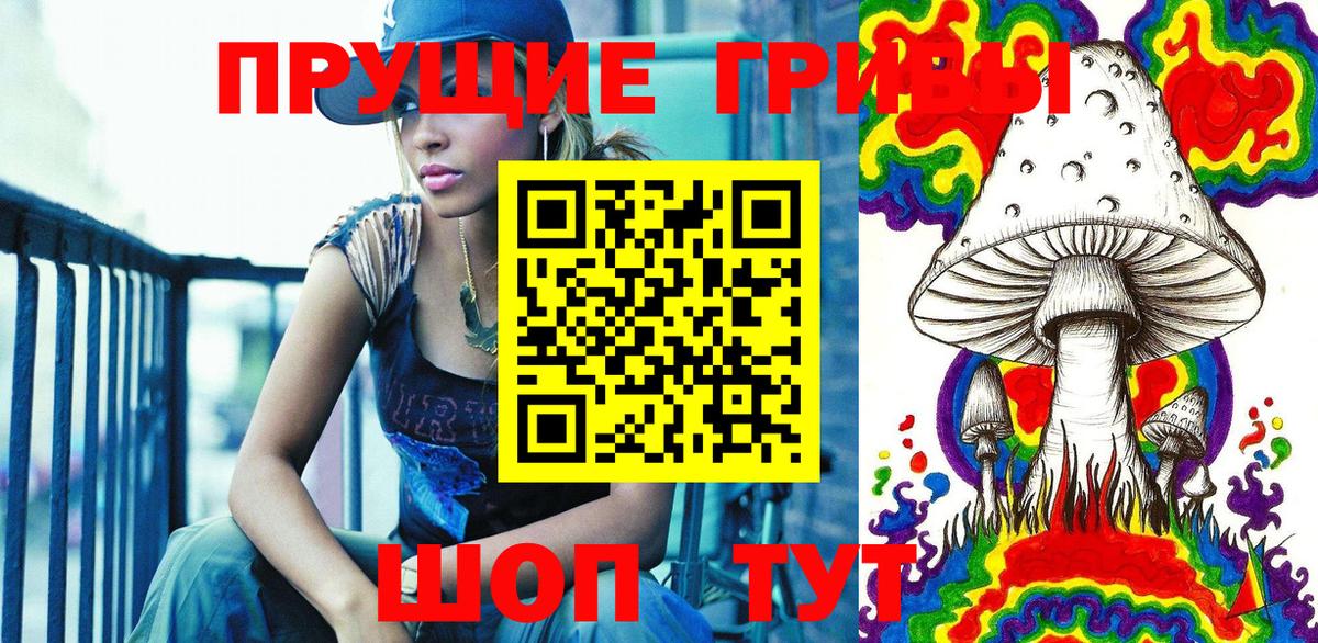 Псилоцибиновые грибы MAGIC MUSHROOMS Пушкино
